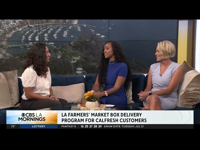 Isabel Thottam speaking with both CBS Los Angeles hosts in studio